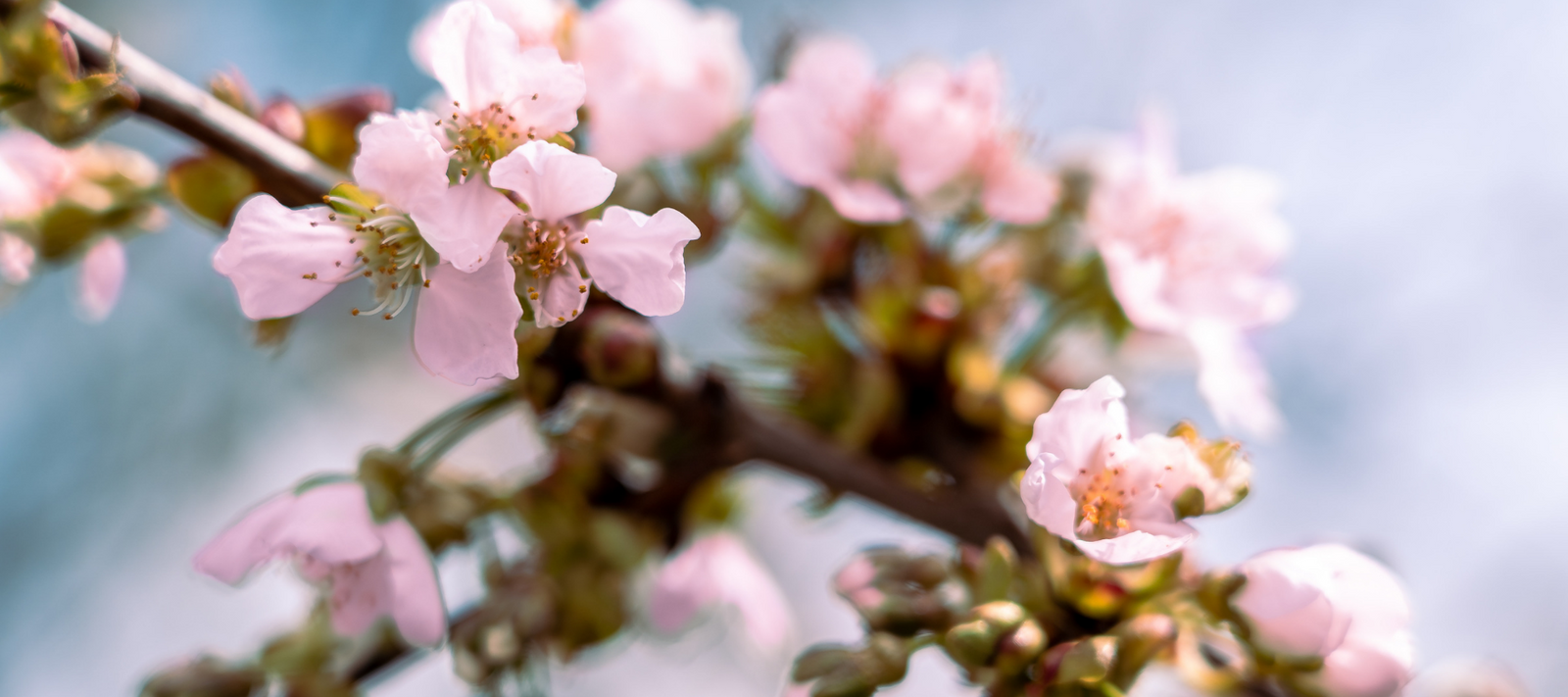 Bereit für den Frühling?