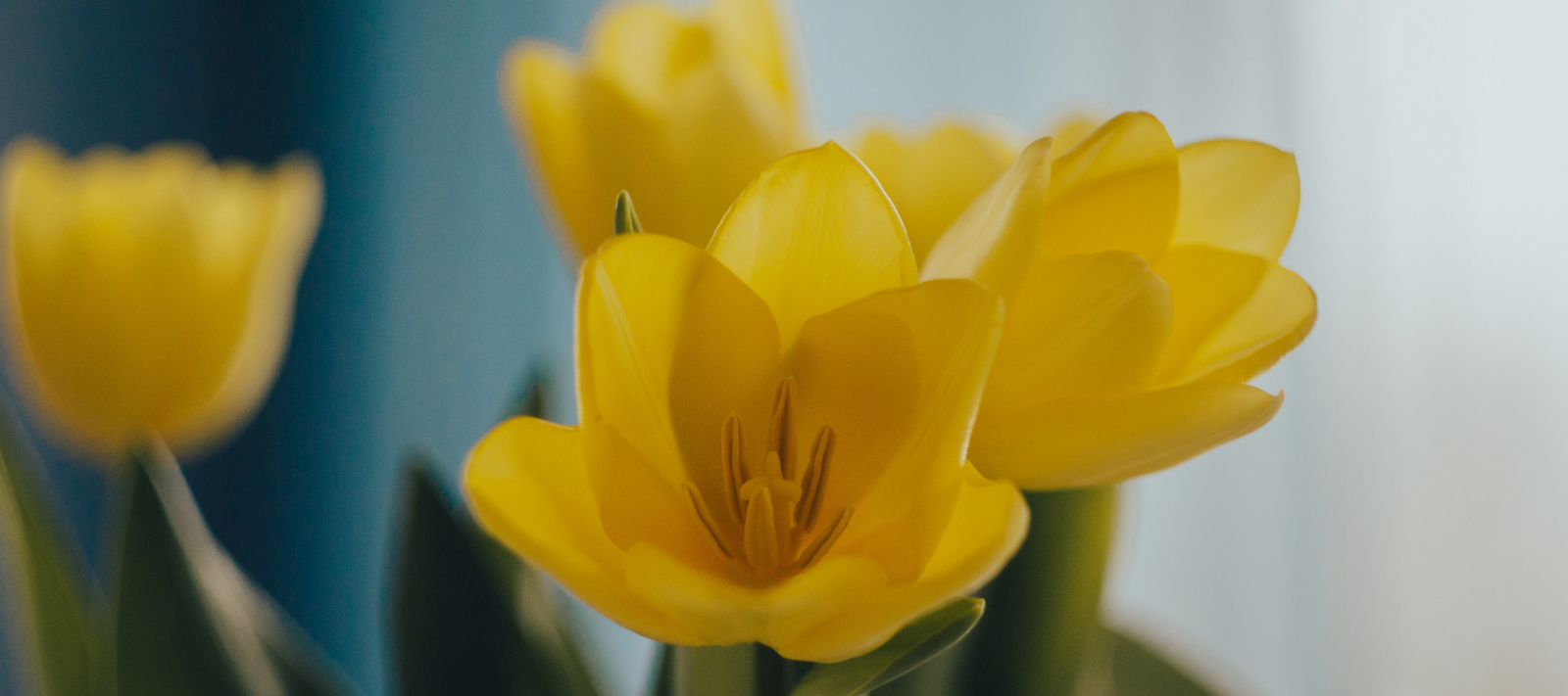 International Women‘s Day